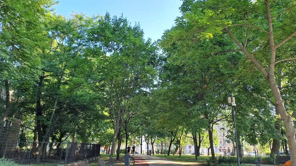 A Haller park fakataszteri felmérése magába foglalta a parkban található különféle szabadidős létesítményeket is.