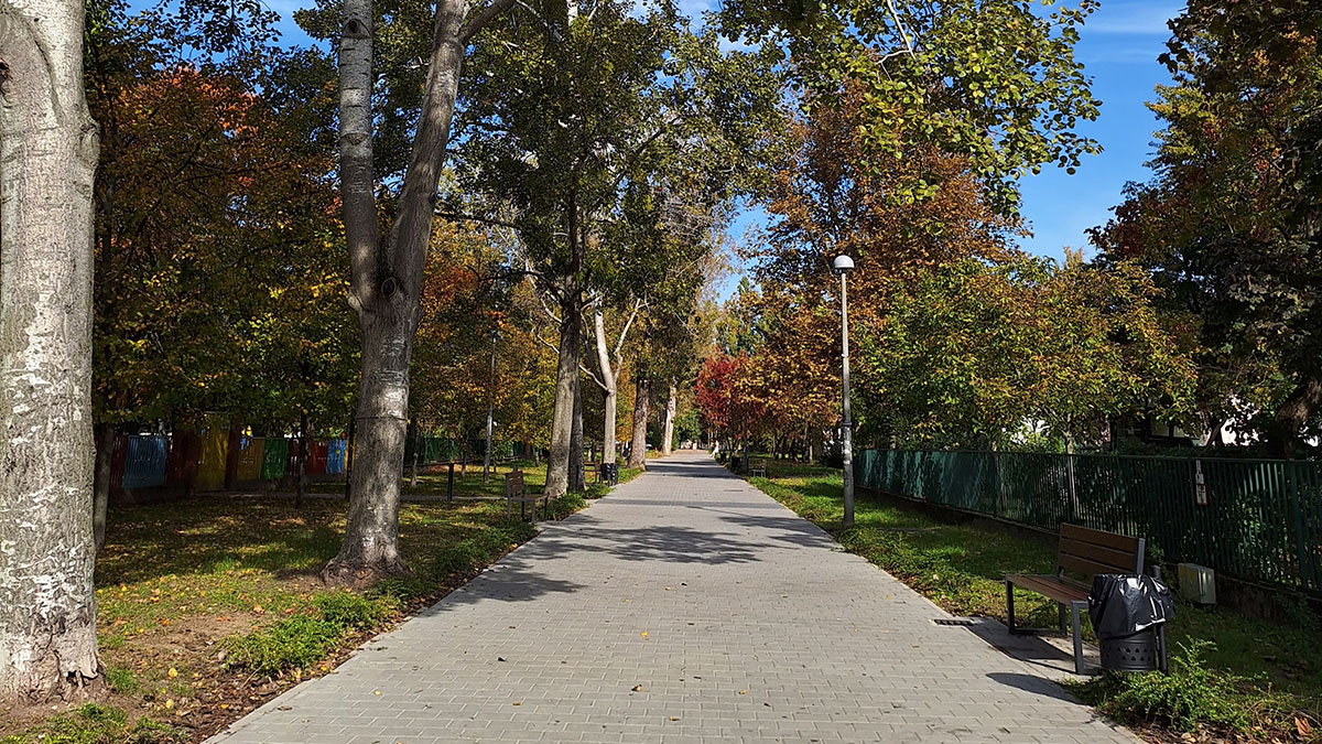 Budapest XVIII. kerületi Lakatos-lakótelep fakataszteri felmérése, park, fasorral paddal és szemetessel - Info-Garden
