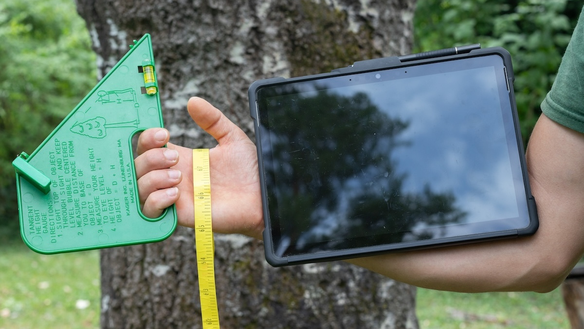 Fafelmérés és vizuális favizsgálat eszközei, adatrögzítése IG-Tree fakataszteri szoftver segítségével - Info-Garden