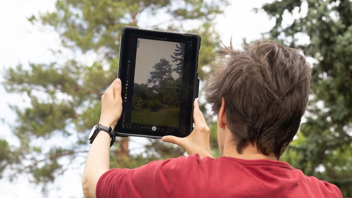 Fafelmérés és vizuális favizsgálat IG-Tree fakataszteri szoftver segítségével - Info-Garden